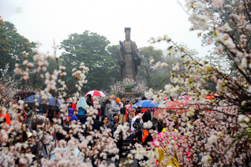 Sáng nay (11/3), hàng nghìn người dân đã đổ về khu vực Vườn hoa - Tượng đài Lý Thái Tổ, Hoàn Kiếm, Hà Nội để tham dự Lễ hội hoa anh đào Nhật Bản.