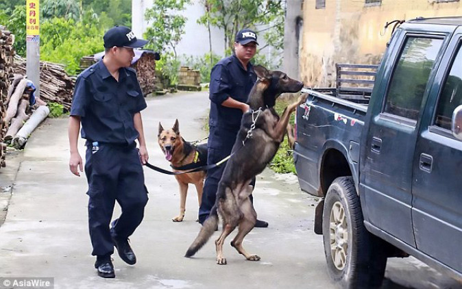 Cảnh sát còn huy động cả chó nghiệp vụ để tìm kiếm bé Xiaojiao.