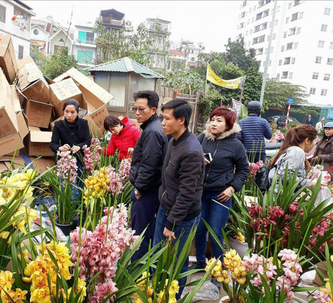 Chen lấn, tranh giành nhau để mua hoa lan giảm giá là hình ảnh diễn ra tại nhiều khu vườn lan ở đường Hoàng Hoa Thám, Lạc Long Quân, Láng Hạ... Trong chiều cuối năm, một chậu lan chỉ còn có giá 150.000 đồng - 250.000 đồng. 