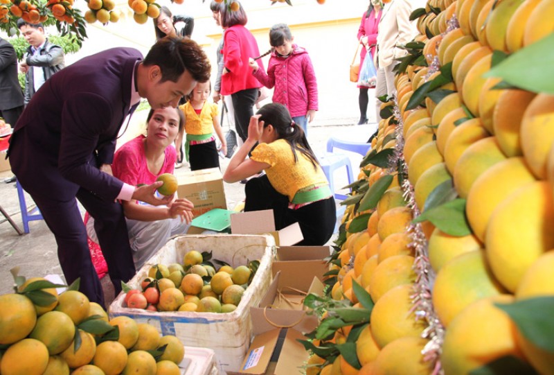 Giá cam bán tại hội chợ từ 35.000 - 60.000đ/kg tùy loại cam. Đây là năm thứ tư liên tiếp thủ phủ cam Cao Phong được mùa, được giá. Cam của xứ Mường cũng đang dần khẳng định được thương hiệu. 