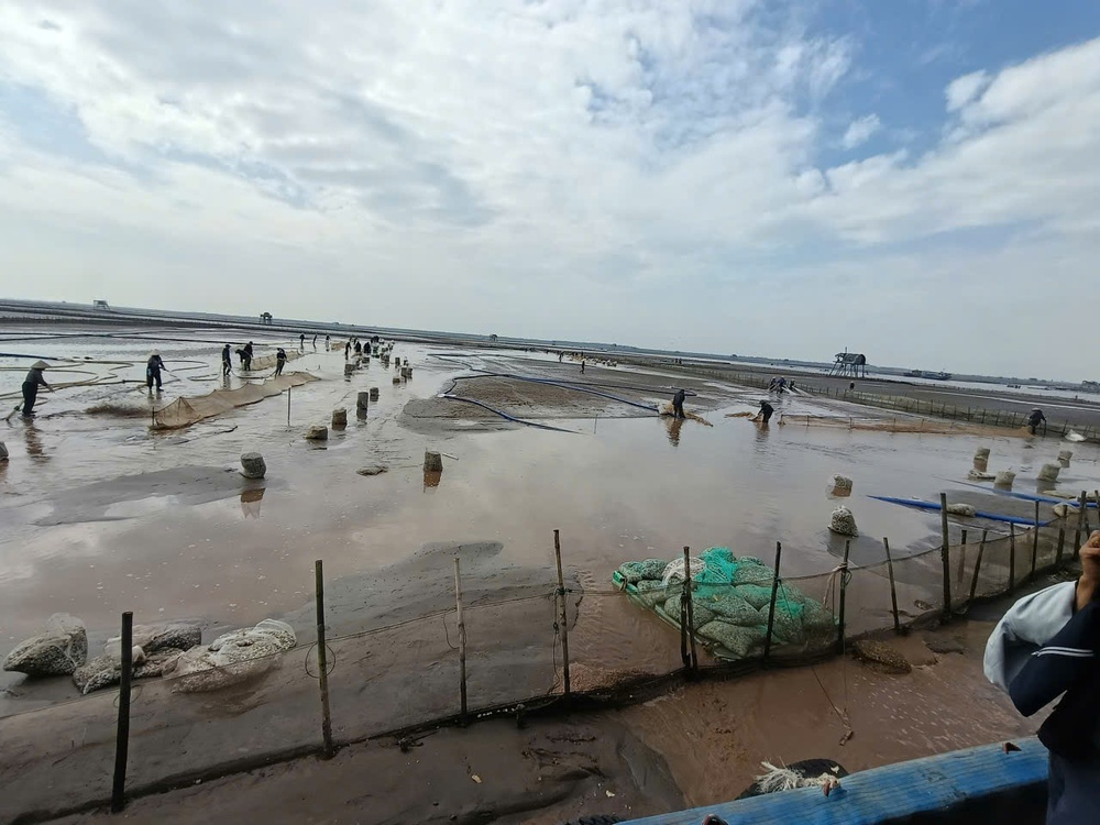 Những mô hình làm nên dấu ấn của Hội LHPN tỉnh Hưng Yên giai đoạn 2021-2025- Ảnh 10. Những mô hình làm nên dấu ấn của Hội LHPN tỉnh Hưng Yên giai đoạn 2021-2025- Ảnh 10.