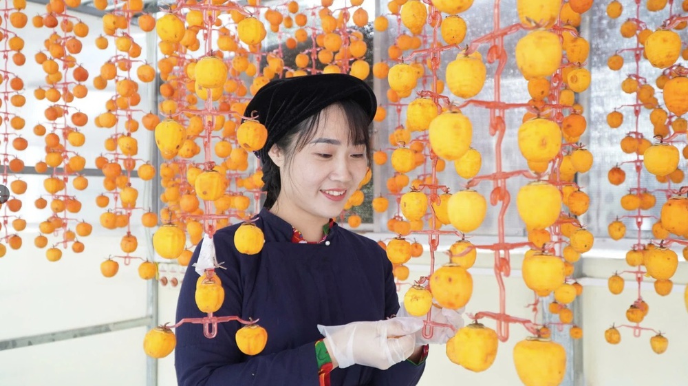 Đề án “Hỗ trợ phụ nữ khởi nghiệp”: Tăng cường bình đẳng giới trong phát triển kinh tế- Ảnh 14.