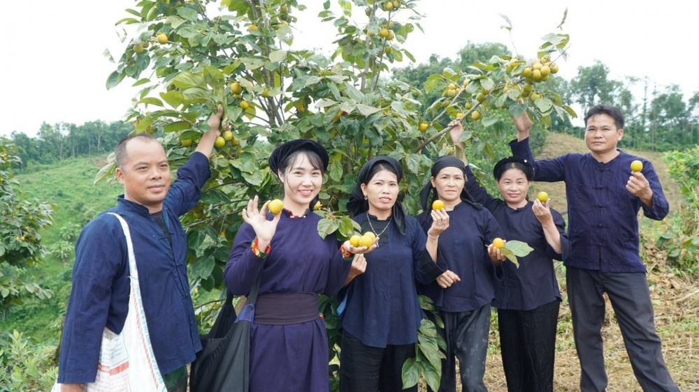 Đề án “Hỗ trợ phụ nữ khởi nghiệp”: Tăng cường bình đẳng giới trong phát triển kinh tế- Ảnh 15.