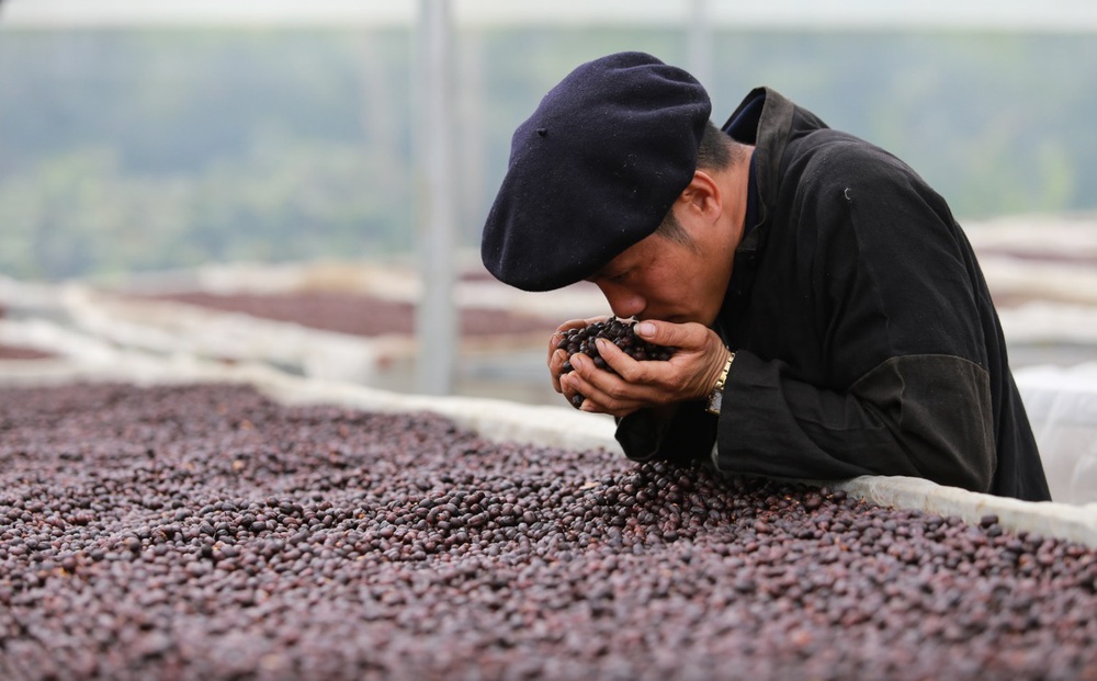 Đề án "Hỗ trợ phụ nữ khởi nghiệp" - Bài 2: Phụ nữ vượt định kiến, xây tương lai- Ảnh 17.