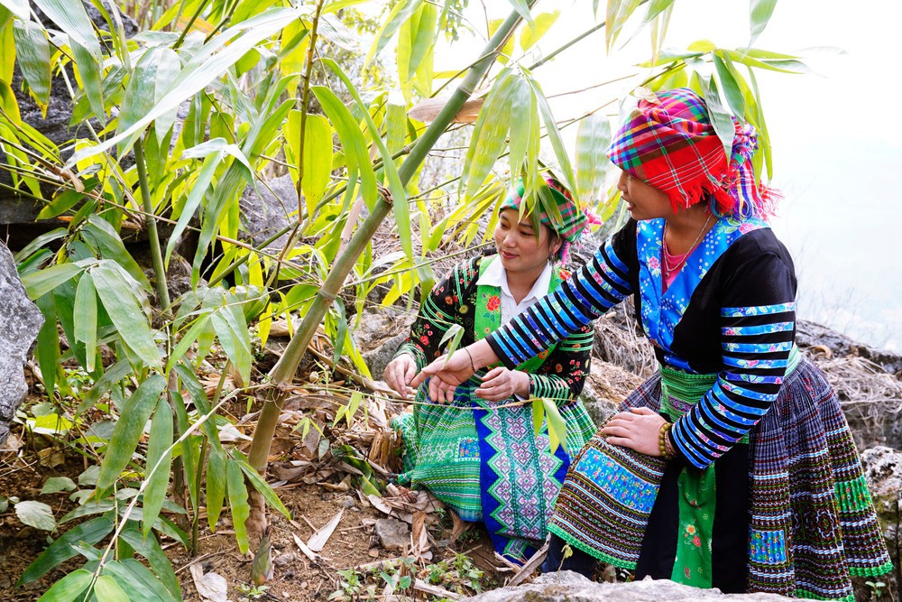 Đề án "Hỗ trợ phụ nữ khởi nghiệp" - Bài 2: Phụ nữ vượt định kiến, xây tương lai- Ảnh 8.