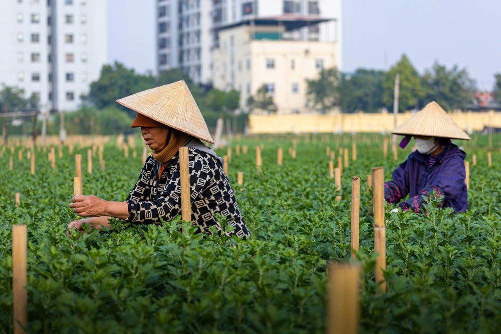"Hỗ trợ phụ nữ khởi nghiệp" - Bài cuối: Đề án 2415 - Kỳ vọng bứt phá- Ảnh 13.
