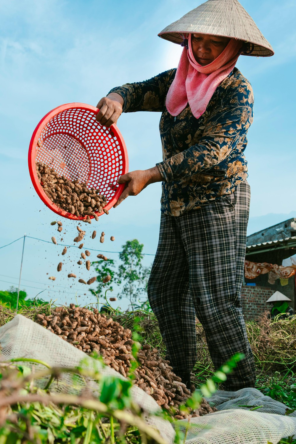 "Hỗ trợ phụ nữ khởi nghiệp" - Bài cuối: Đề án 2415 - Kỳ vọng bứt phá- Ảnh 9.