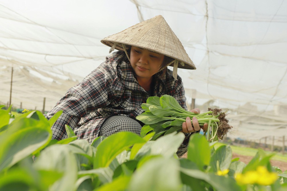 "Hỗ trợ phụ nữ khởi nghiệp" - Bài cuối: Đề án 2415 - Kỳ vọng bứt phá- Ảnh 8.