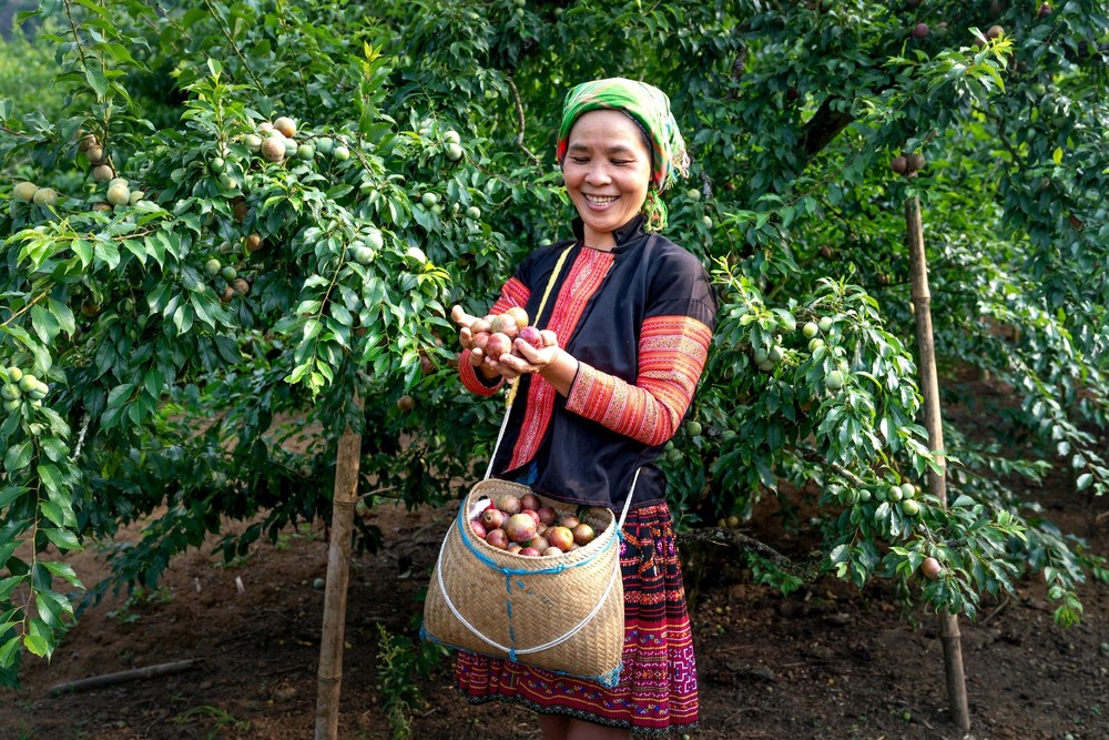 "Hỗ trợ phụ nữ khởi nghiệp" - Bài cuối: Đề án 2415 - Kỳ vọng bứt phá- Ảnh 7.