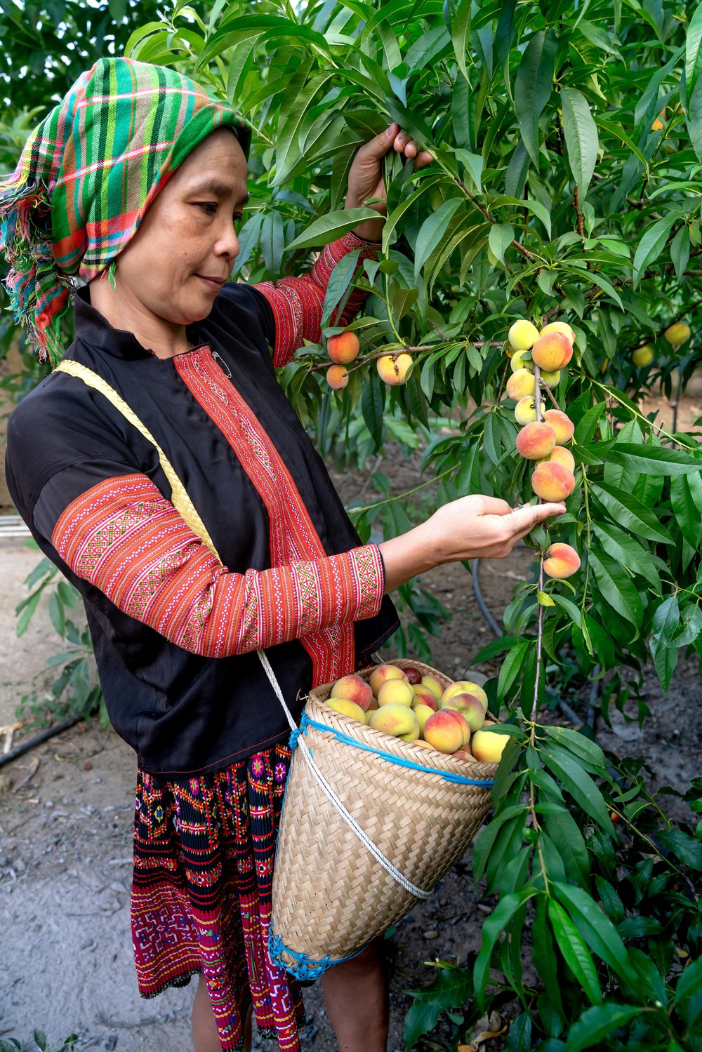 "Hỗ trợ phụ nữ khởi nghiệp" - Bài cuối: Đề án 2415 - Kỳ vọng bứt phá- Ảnh 12.