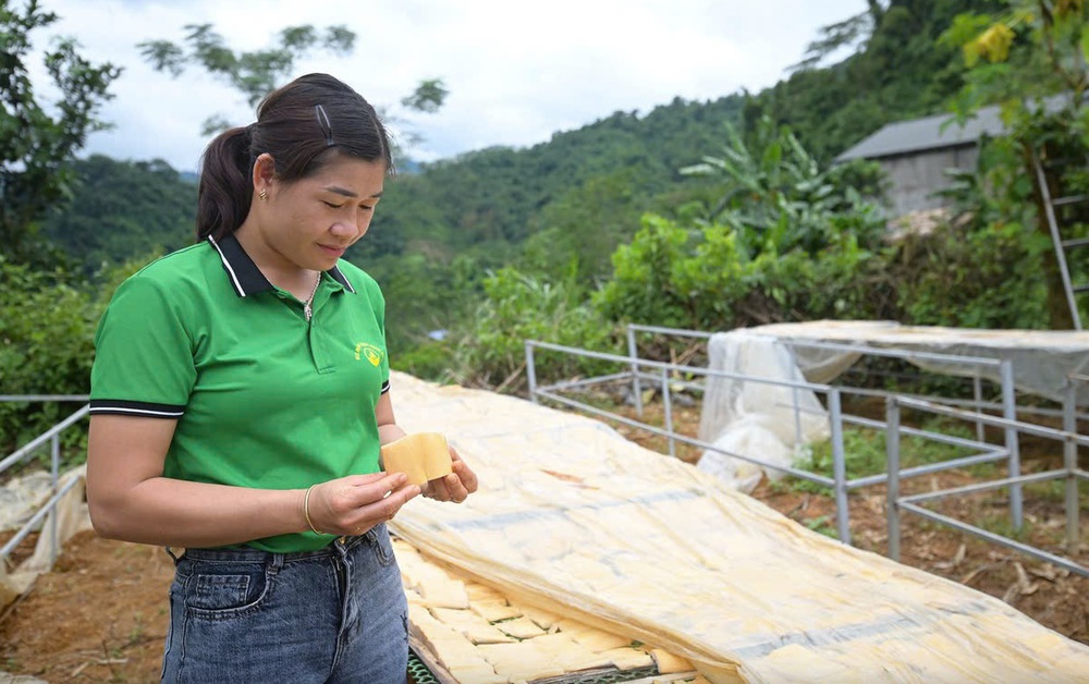 Đề án "Hỗ trợ phụ nữ khởi nghiệp" - Bài 2: Phụ nữ vượt định kiến, xây tương lai- Ảnh 9.