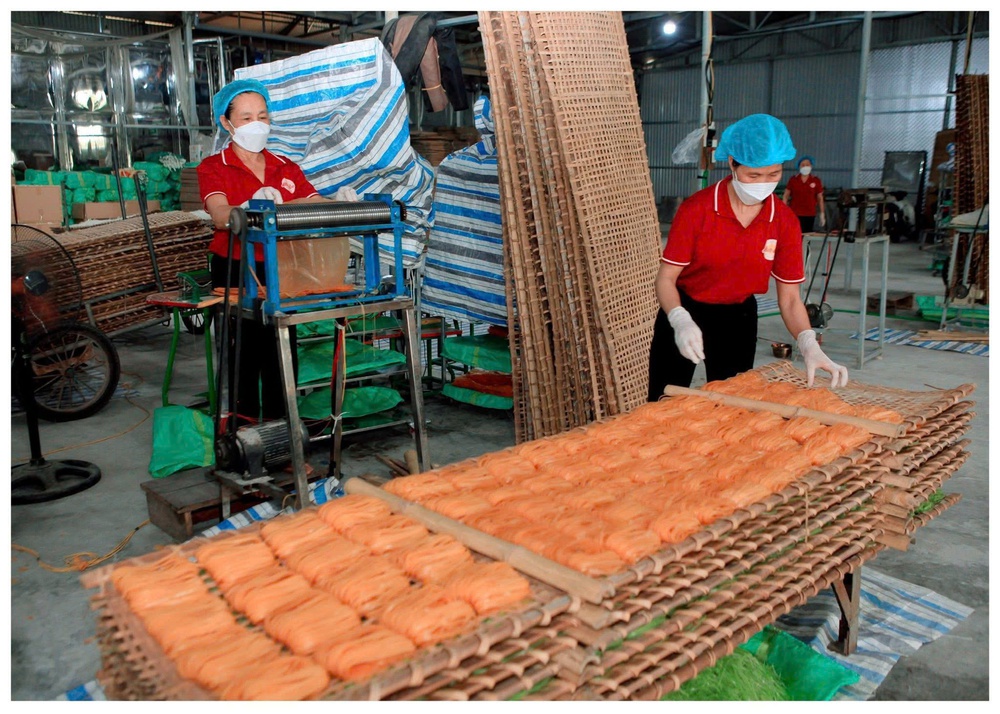 Phụ nữ Ninh Bình gieo khát vọng trên đồng đất quê hương - Ảnh 5.