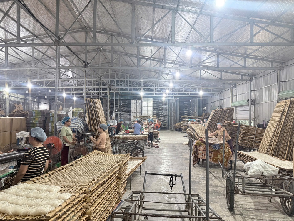 Phụ nữ Ninh Bình gieo khát vọng trên đồng đất quê hương - Ảnh 4.