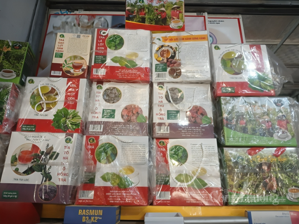 Phụ nữ Ninh Bình gieo khát vọng trên đồng đất quê hương - Ảnh 2.