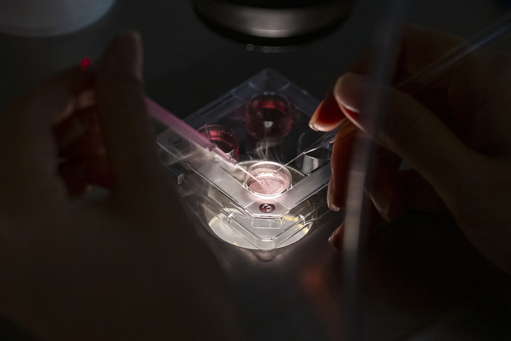 Người “ươm mầm sự sống” phía sau cánh cửa phòng Lab IVF- Ảnh 8. Người “ươm mầm sự sống” phía sau cánh cửa phòng Lab IVF- Ảnh 8.