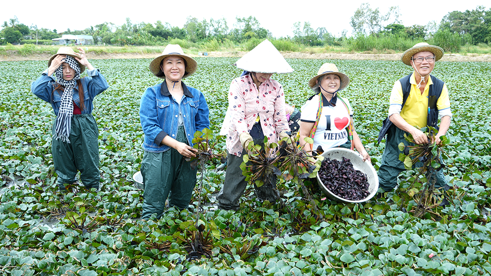 Về Lấp Vò khám phá điểm sáng mới của du lịch cộng đồng - Ảnh 4.