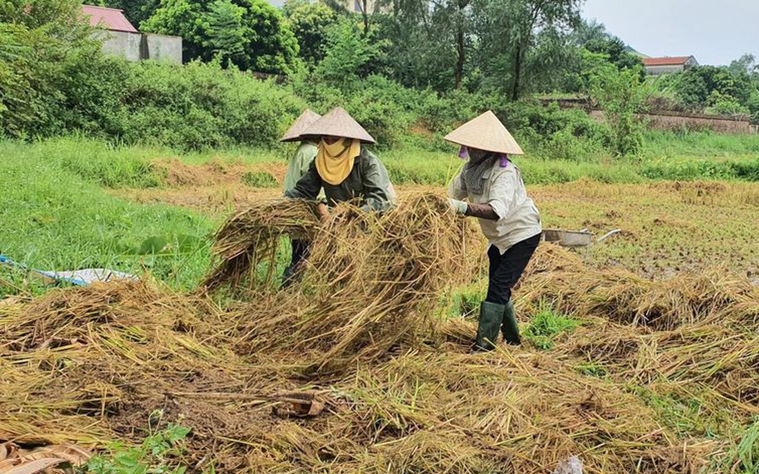 Xây dựng nông thôn mới về đích trước 1 năm