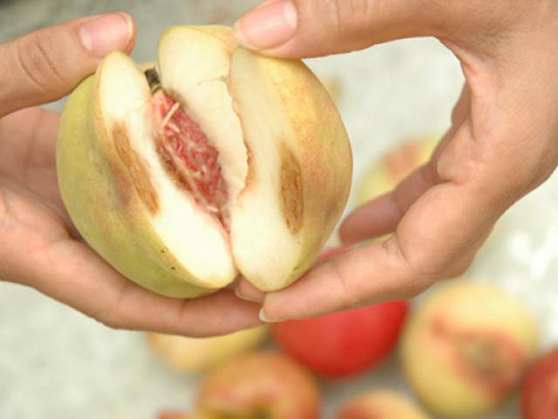 Những thói quen ăn trái cây khiến mất sạch chất lại còn rước ung thư, ký sinh trùng