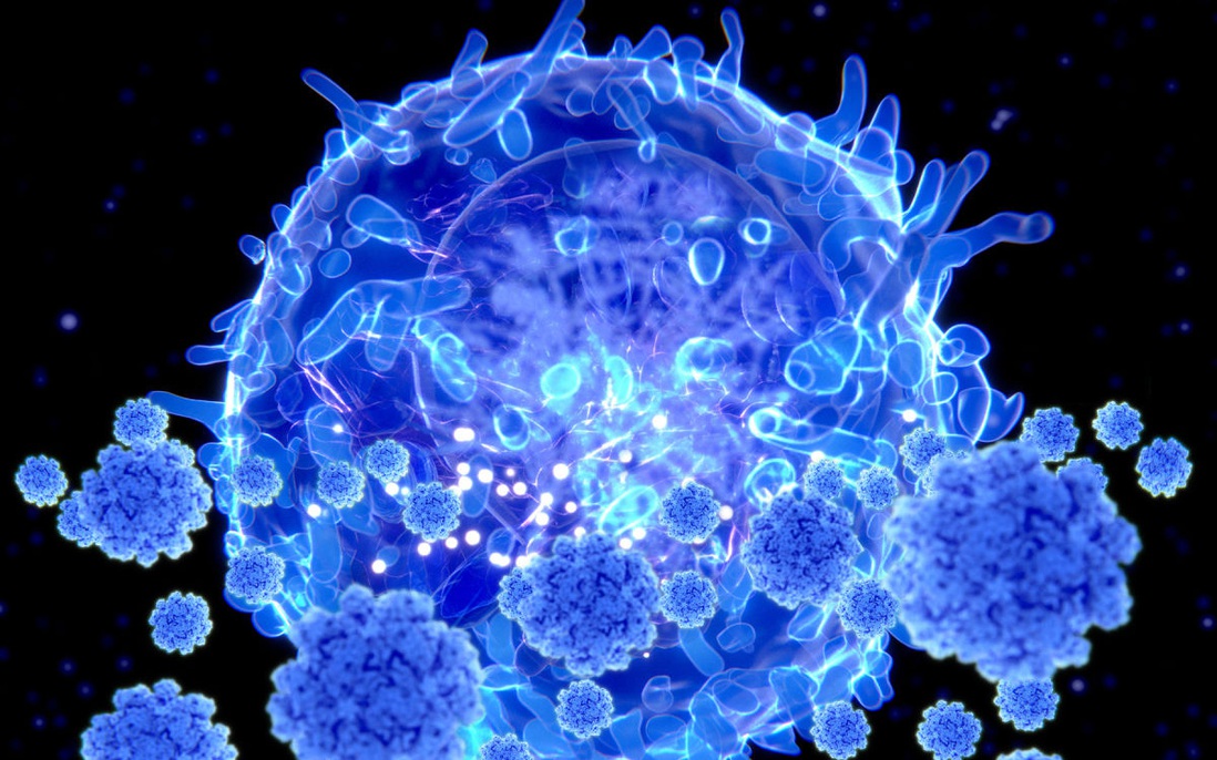 Singapore thử nghiệm tế bào T Covid-19 đầu tiên dành cho những trường hợp nghiêm trọng