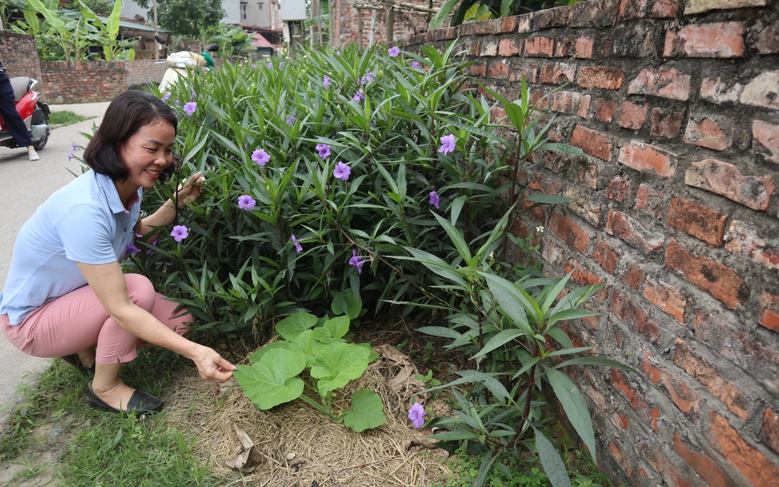 Người phụ nữ tiên phong làm sạch môi trường nông thôn ở Phú Dư
