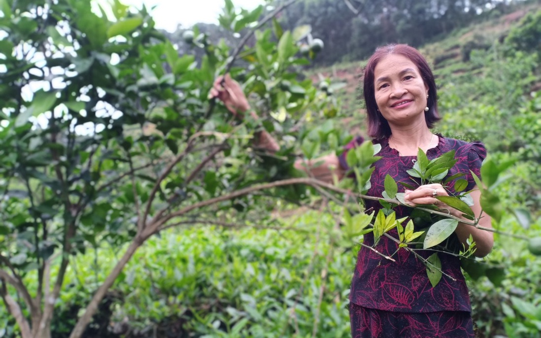 Dù mang trọng bệnh vẫn trở thành tấm gương điển hình trong học tập và làm theo Bác