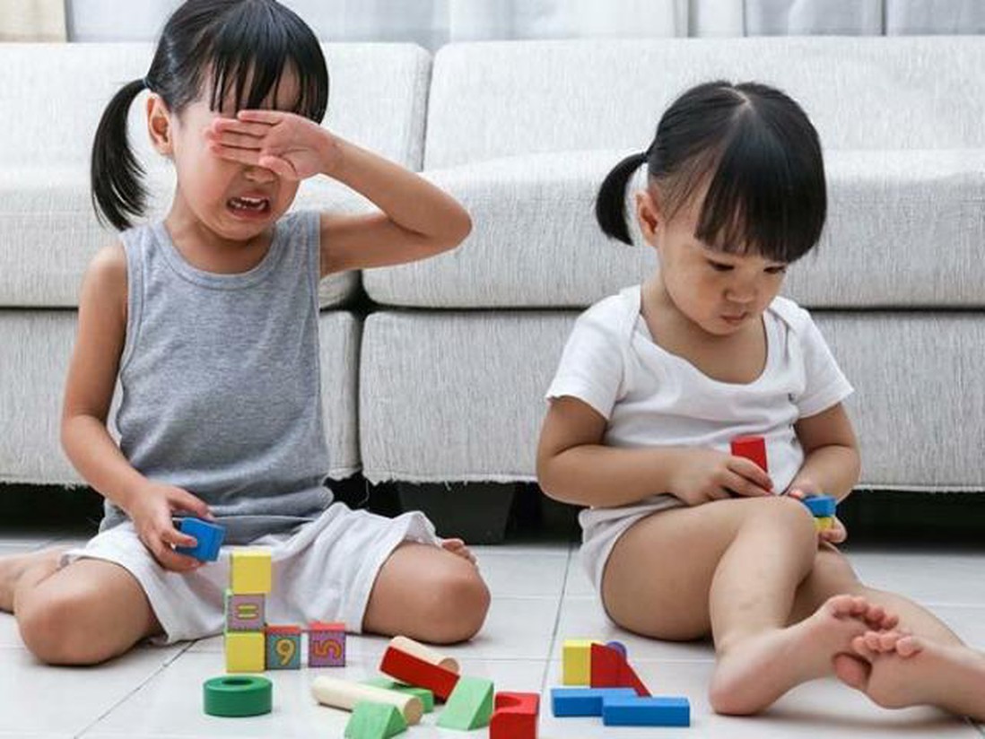 3 điều cha mẹ thông minh hay dạy con khi bị bạn cướp đồ chơi