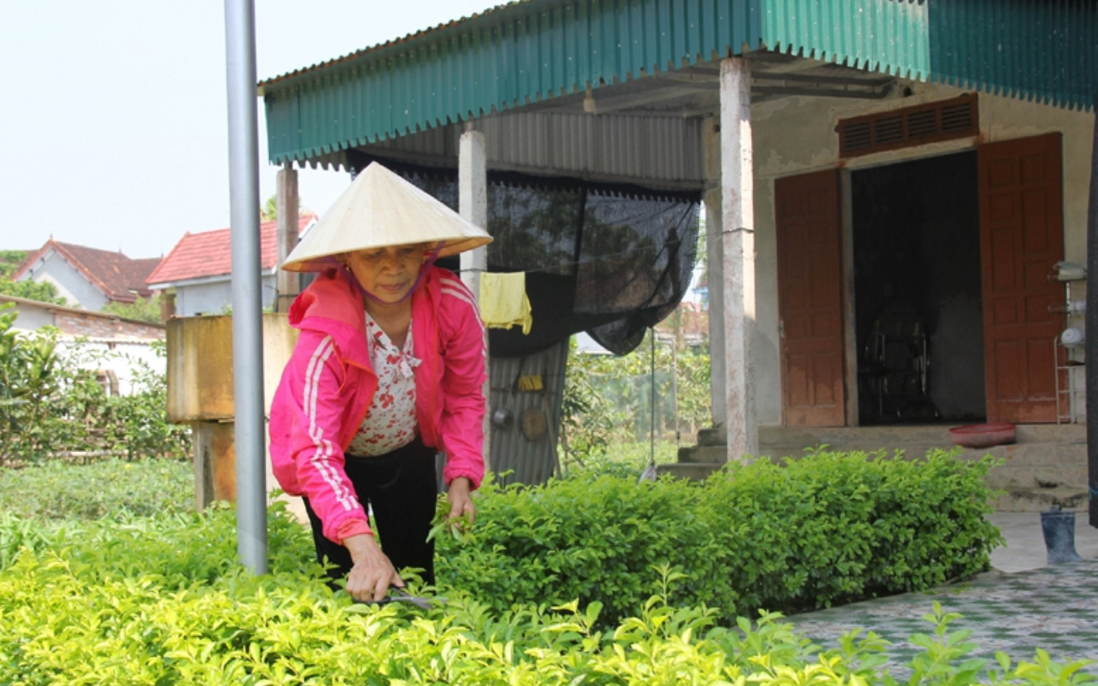 Phụ nữ vùng giáo Bình Yên chung sức xây dựng nông thôn mới kiểu mẫu