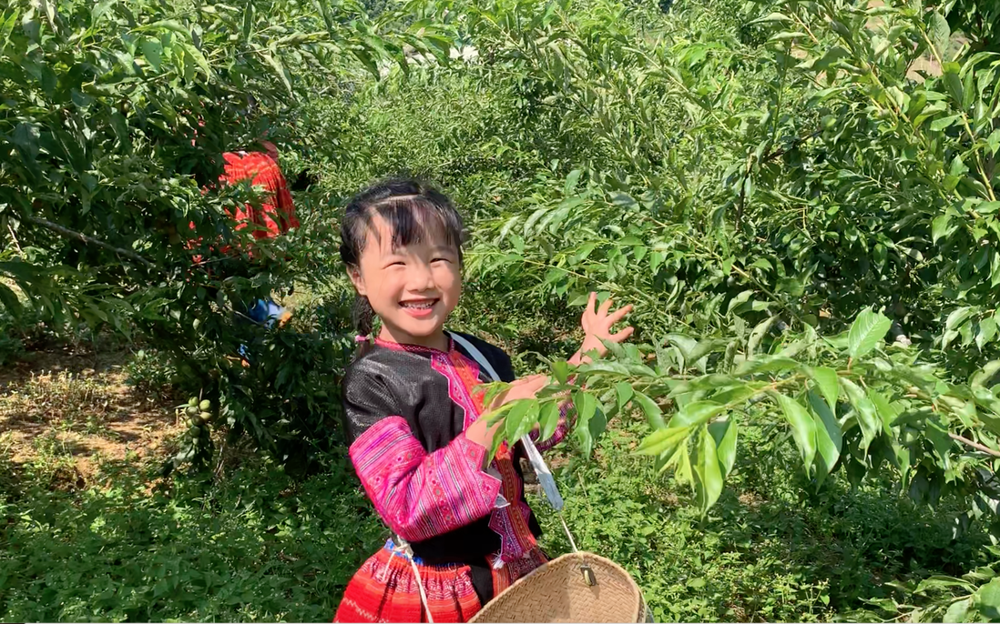 Mina Phạm, cô bé 6 tuổi lại “gây bão” với clip trải nghiệm ở Bản H’Mông