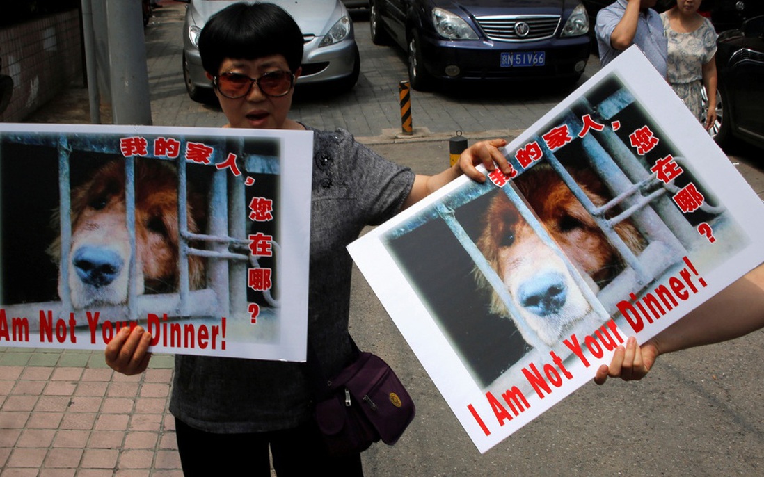 Lễ hội thịt chó lớn nhất Trung Quốc bị chỉ trích dữ dội giữa dịch Covid-19