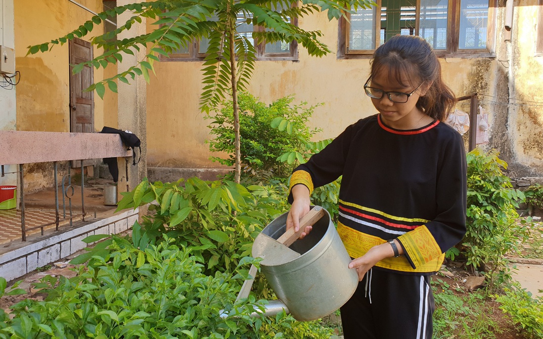 Kỳ thi THPT quốc gia: Cô học trò khuyết tật người Jrai với ước mơ làm cô giáo