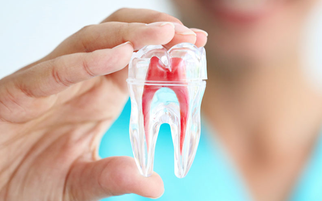 Răng đã lấy tủy tồn tại được bao lâu?