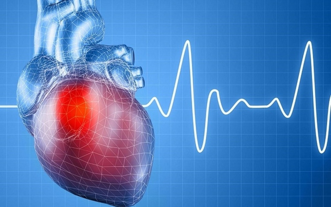 Những phương pháp ổn định nhịp tim, phòng tránh bệnh tim mạch ở người già