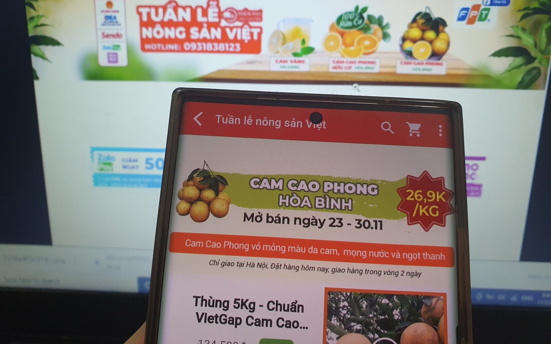 Lên sàn thương mại điện tử mua cam Cao Phong, Hà Giang chính gốc, giá ưu đãi 