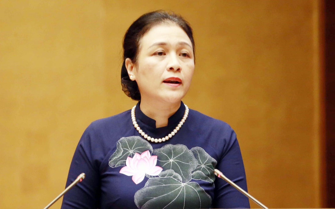 Bà Nguyễn Phương Nga: "Đối ngoại nhân dân cần linh hoạt, thích ứng với tình hình mới"