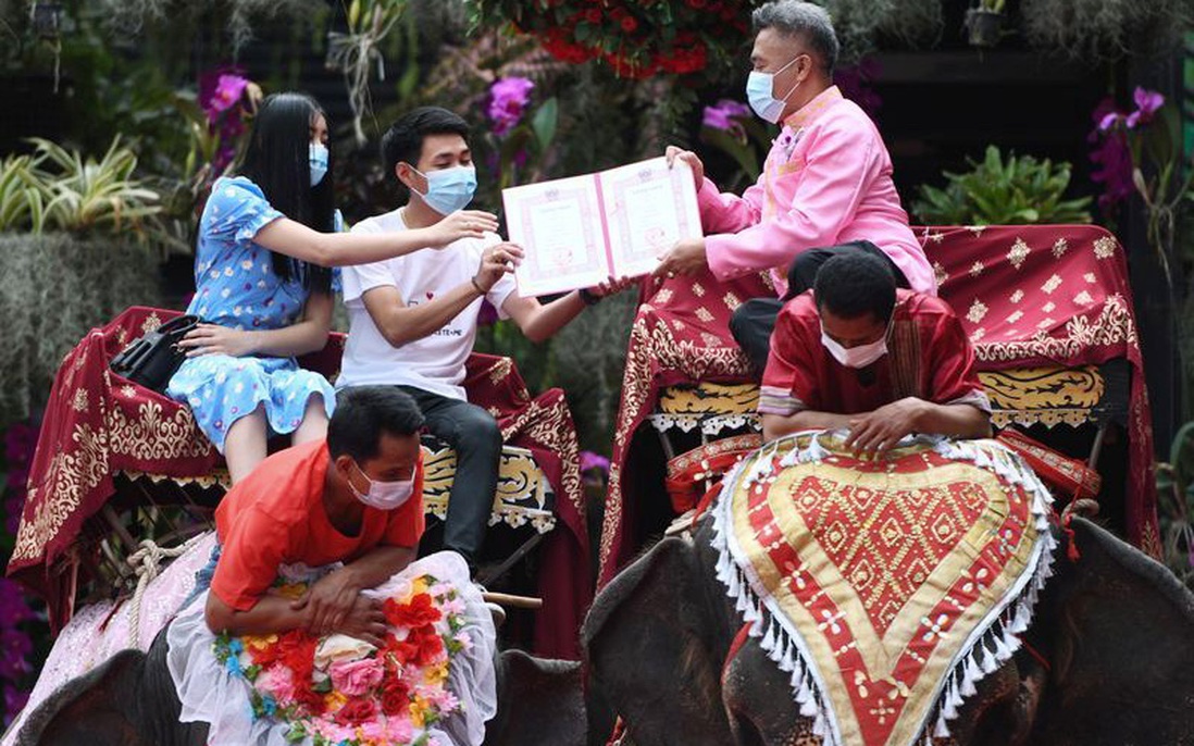 52 đôi ở Thái Lan đám cưới tập thể trên lưng voi