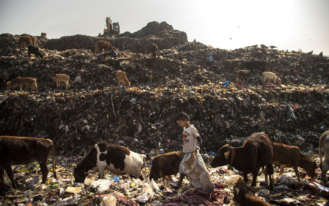 Nhói lòng trước cuộc sống thường ngày của cậu bé nhặt rác ở Ấn Độ