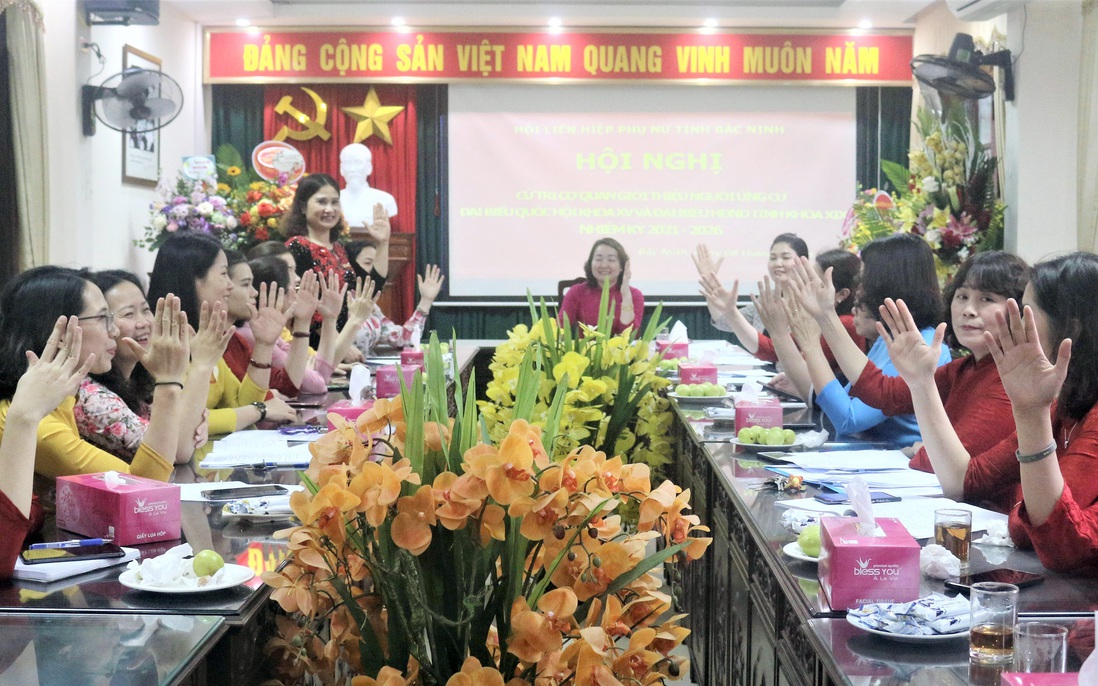 Giới thiệu Chủ tịch Hội LHPN tỉnh Bắc Ninh ứng cử ĐBQH khóa XV