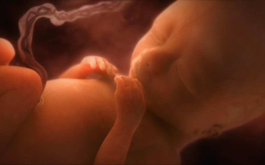 Công nghệ tử cung nhân tạo giúp phụ nữ sinh con mà không cần mang thai