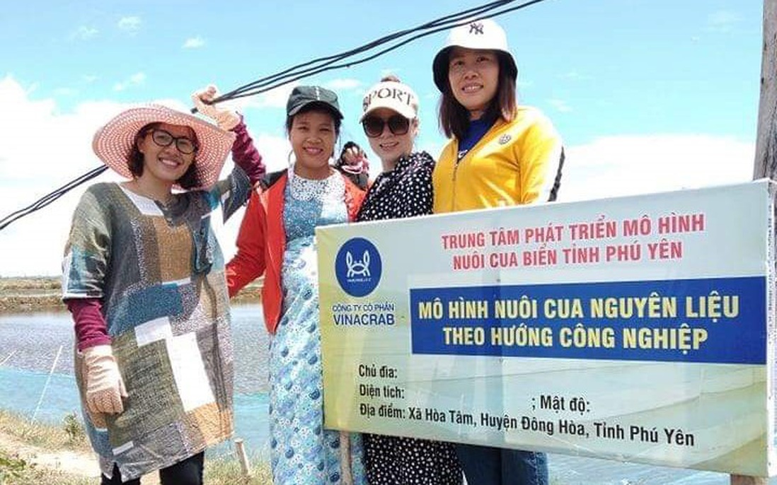 Mô hình nuôi cua lột mang giá trị kinh tế cao