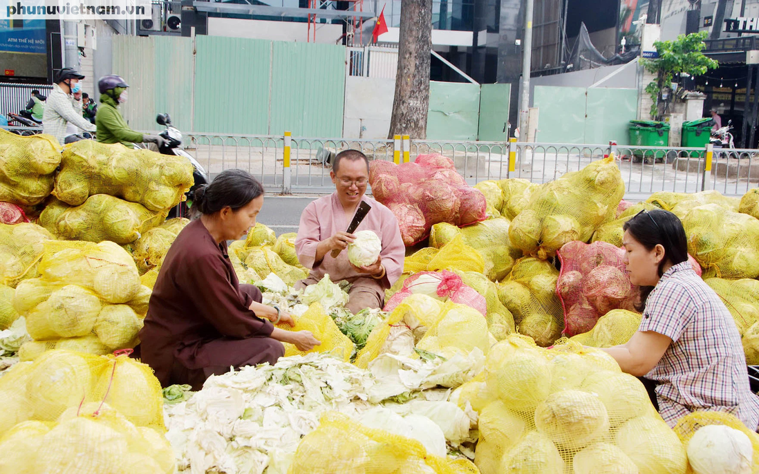 Bỏ công cắt gọt, rao bán 8 tấn bắp cải ở trung tâm Sài Gòn