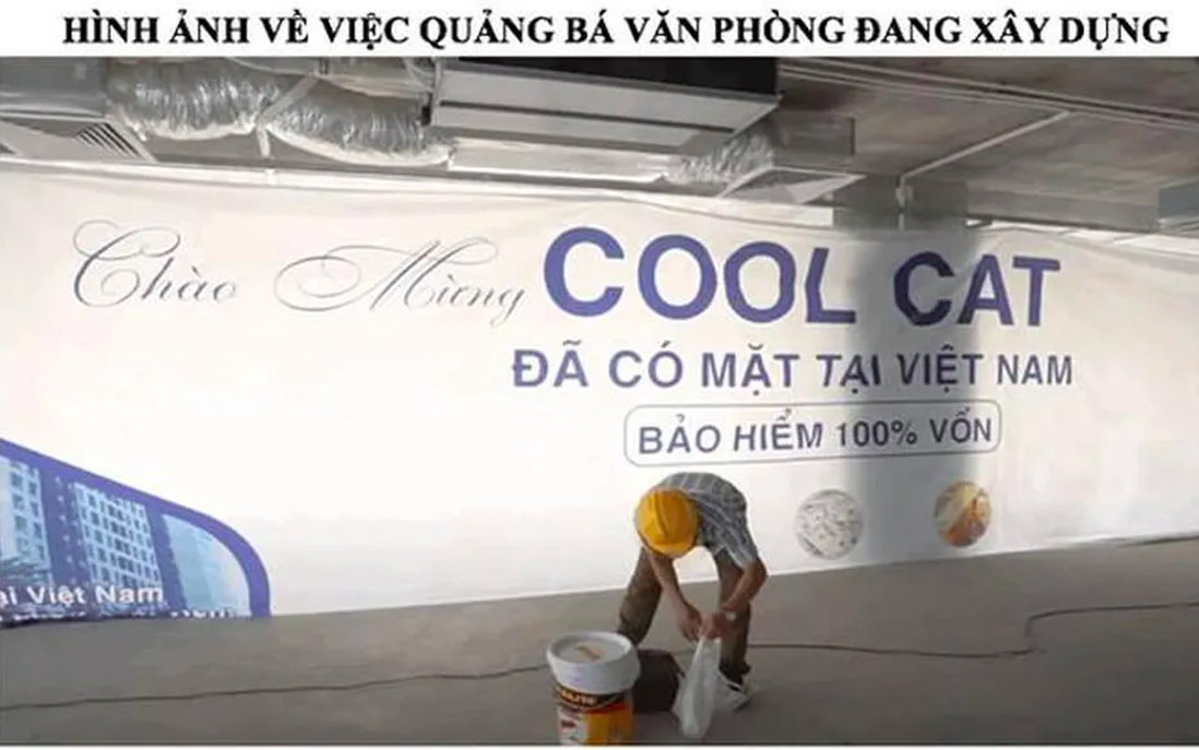 Sập sàn Coolcat: Phụ nữ cần làm gì để tránh “bẫy” đầu tư tài chính qua app?