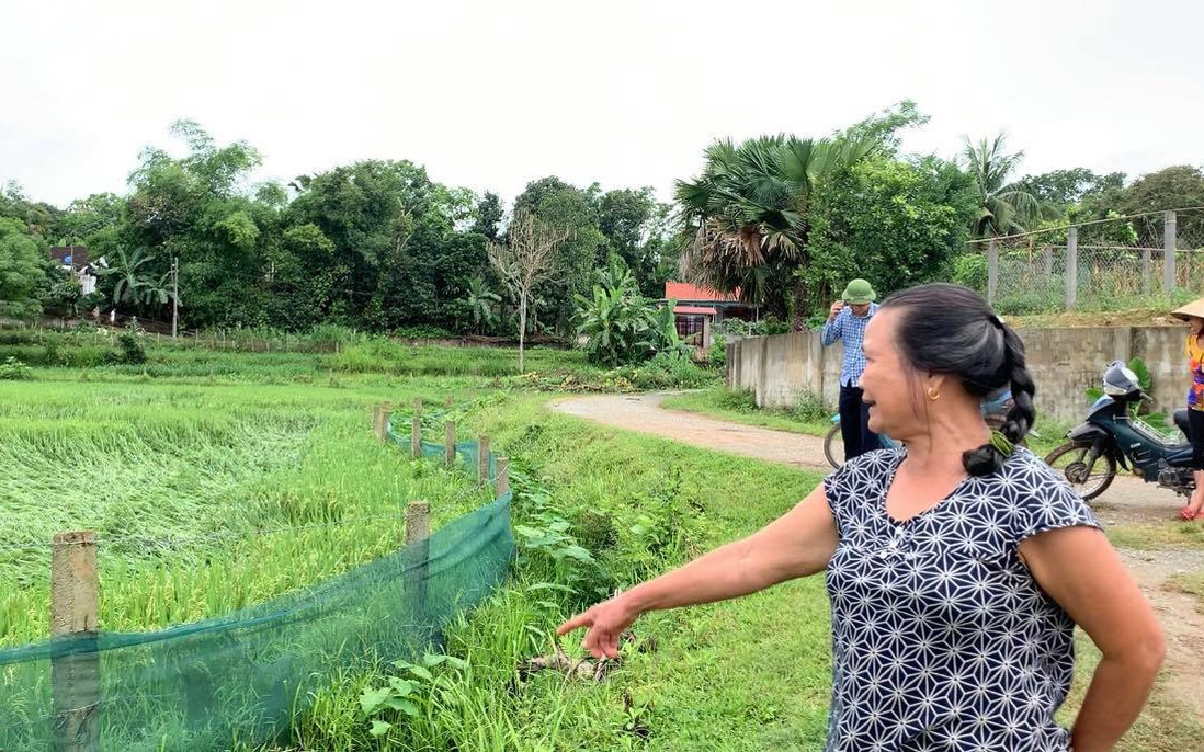Nông dân Nghệ An thiệt hại nặng nề sau trận mưa lốc