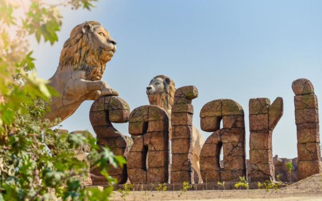Ấn Độ: Sư tử ở công viên Etawah Safari dương tính với Covid-19 