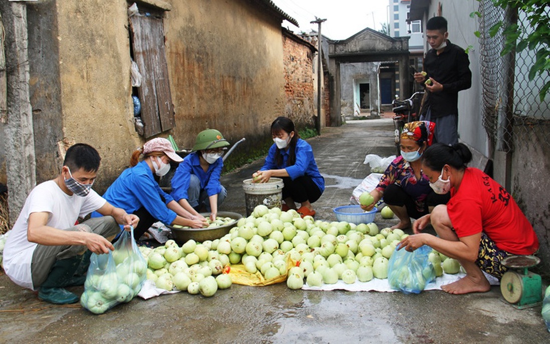 Các cấp Hội hỗ trợ tiêu thụ nông sản tại vùng dịch Bắc Giang
