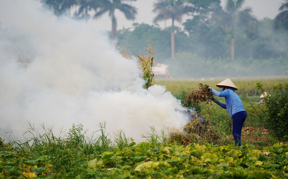 Nông dân ngoại thành Hà Nội đốt phế phẩm nông nghiệp, khói um khắp cánh đồng