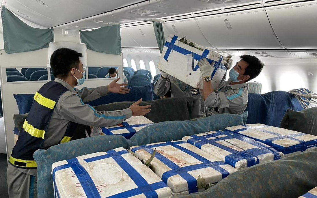 Lần đầu tiên vải thiều Bắc Giang "ngồi" ghế siêu máy bay vào TPHCM