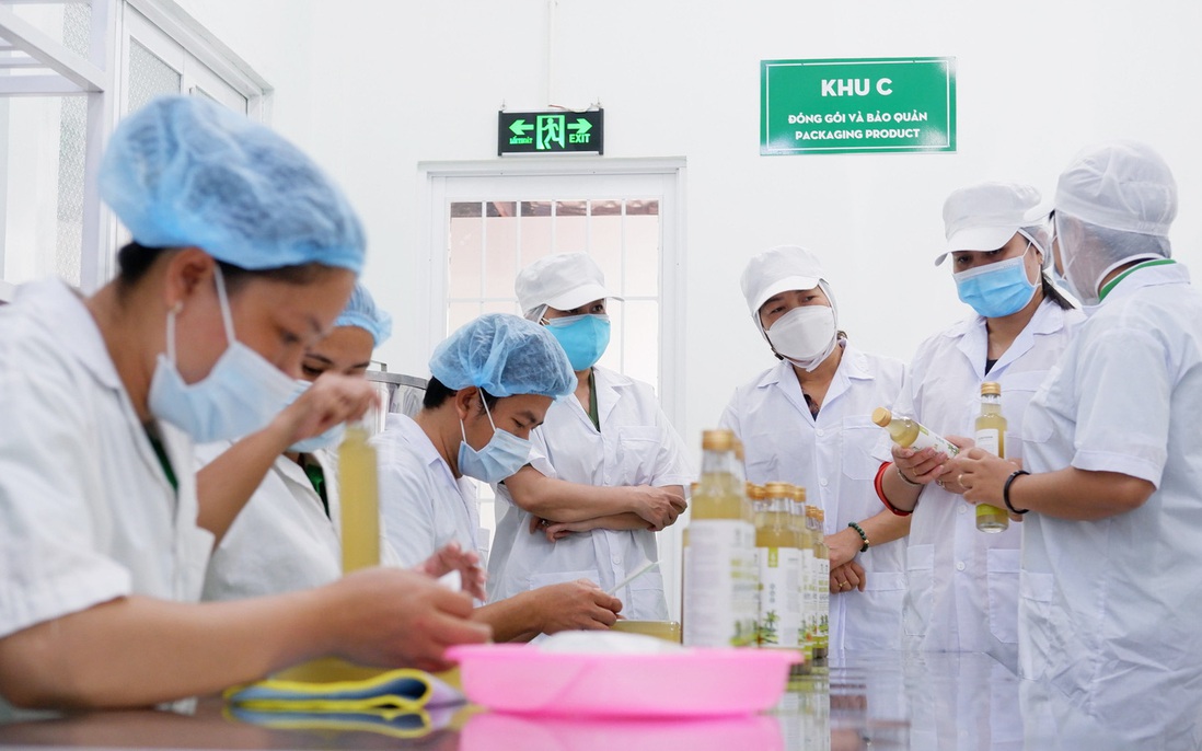 TƯ Hội LHPN Việt Nam hỗ trợ thiết bị sản xuất cho phụ nữ khởi nghiệp