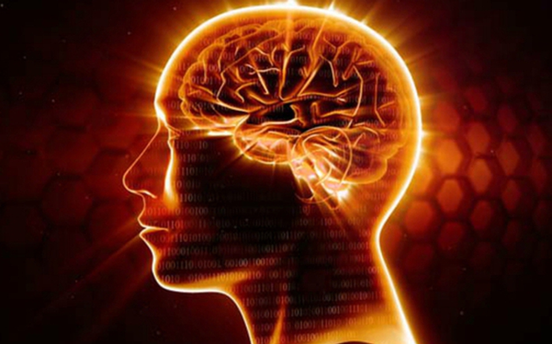 Con người mới dùng 10% bộ não, duy trì 8 thói quen để khai thác tối đa tiềm năng