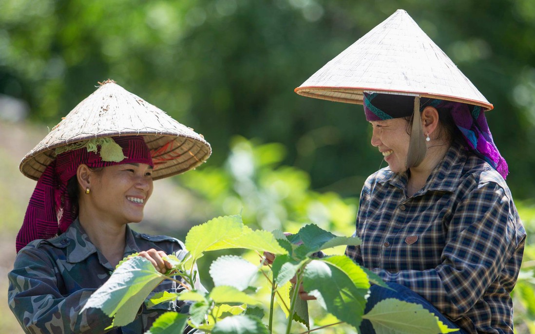 Đa dạng hoạt động nâng cao nhận thức, hỗ trợ phát triển kinh tế cho vùng khó khăn