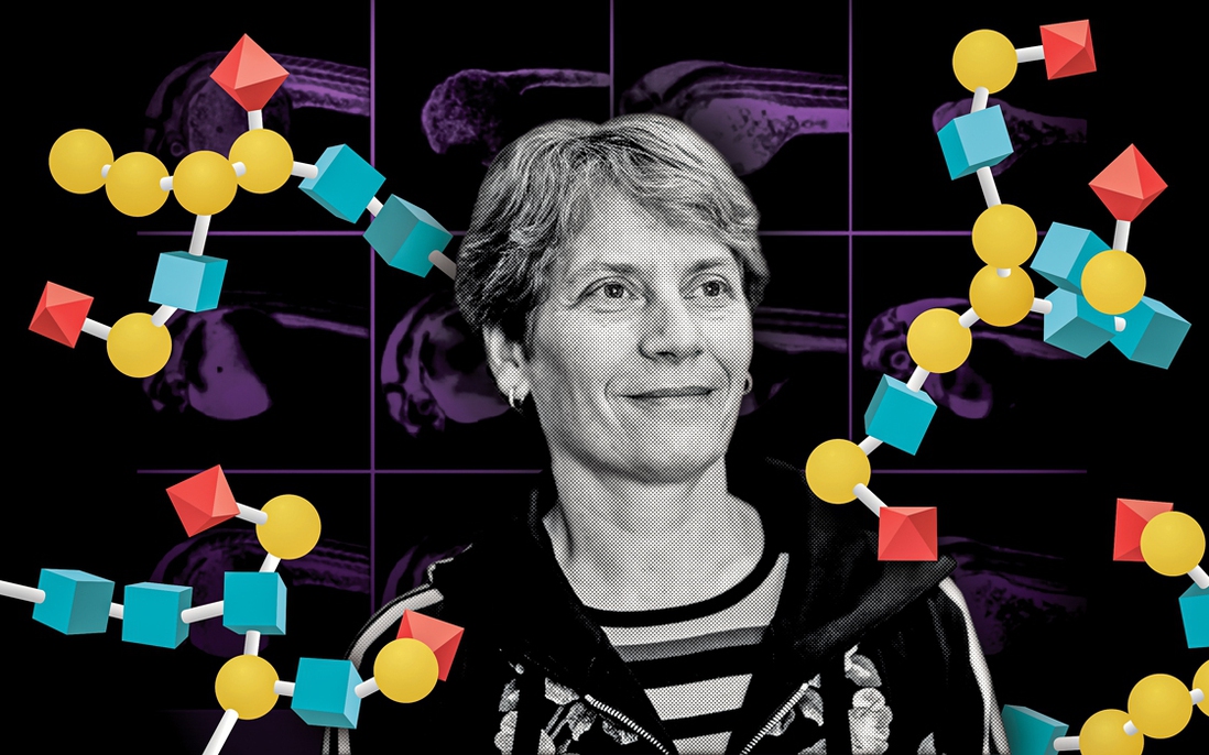 Carolyn Bertozzi là người phụ nữ thứ 8 giành được giải Nobel hóa học 